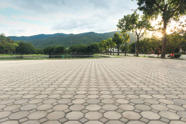 Best Professional Driveway Pavers  in Mineral Springs, NC