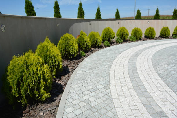 Best Commercial Driveway Pavers  in Mineral Springs, NC